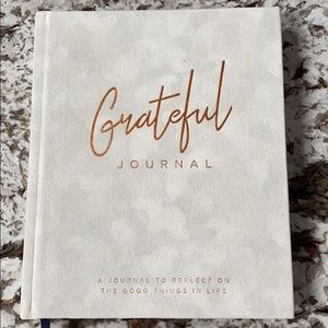 Gratitude journal, cream suede cover